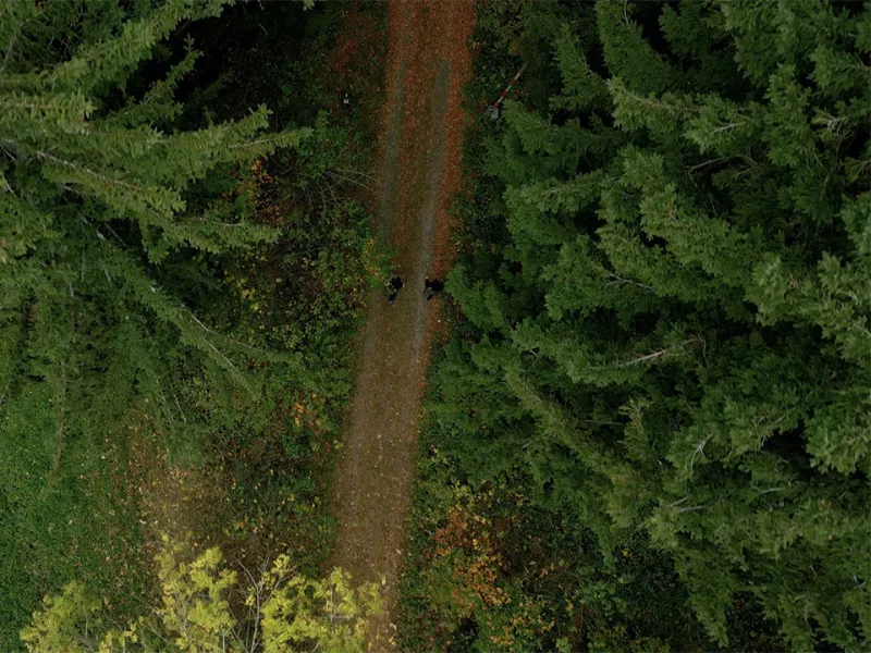 Comprendre la gestion durable de la forêt : l’exemple autrichien