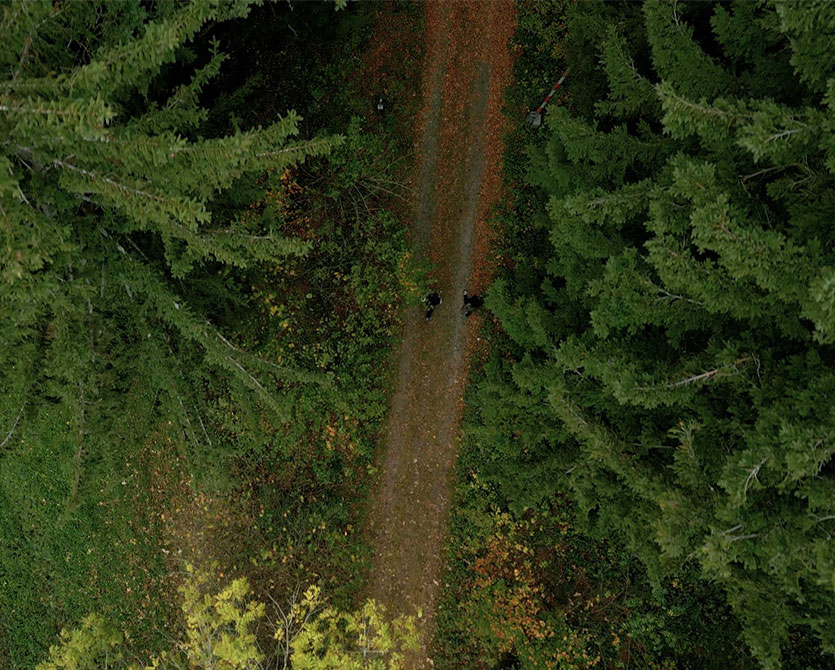 Unser heimischer Wald - ein Spaziergang mit Sigrid Netherer