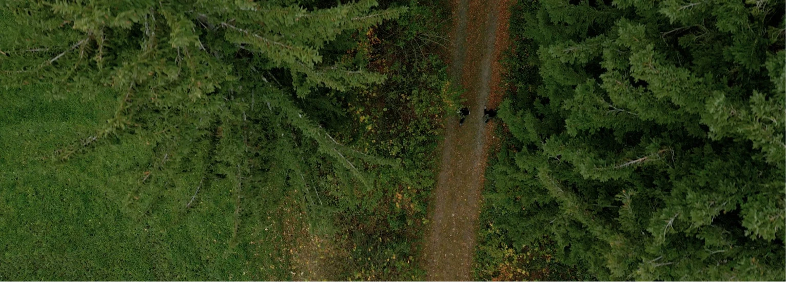 Comprendre la gestion durable de la forêt : l’exemple autrichien