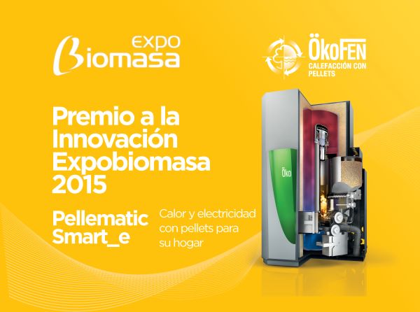 Premio Innovación Expobiomasa 2015