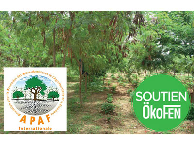 ÖkoFEN s’engage pour l’agroforesterie au Sénégal