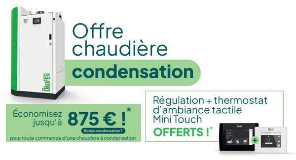 journées du granulés chaudières classiques