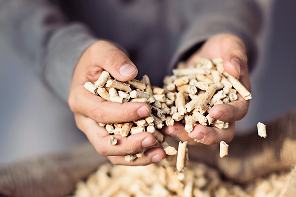 Guide sur la fabrication du pellet à la maison