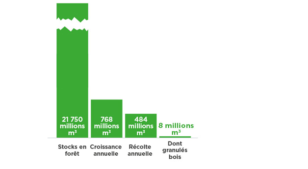 La forêt française est en croissance