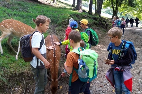 ÖkoFEN startet Kinderbetreuung in den Sommerferien